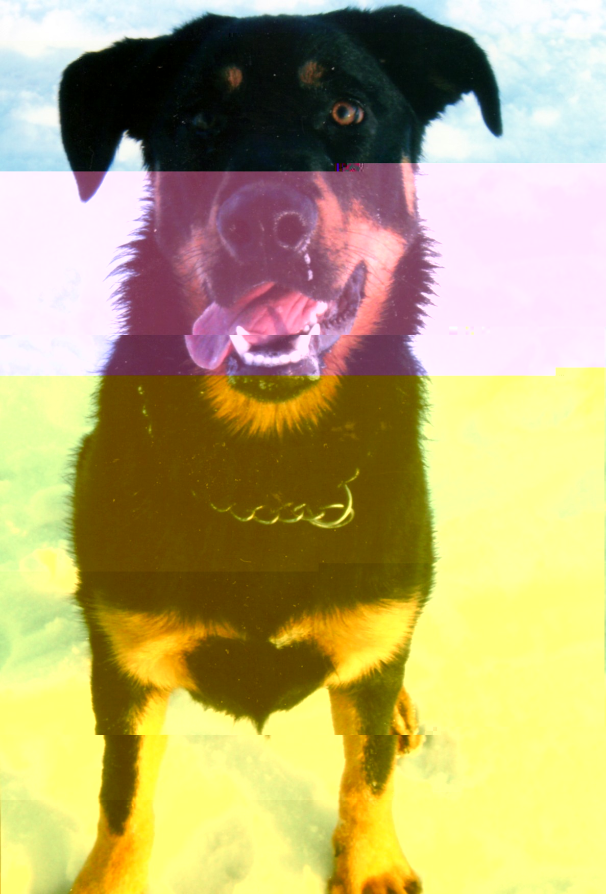 noname.jpg