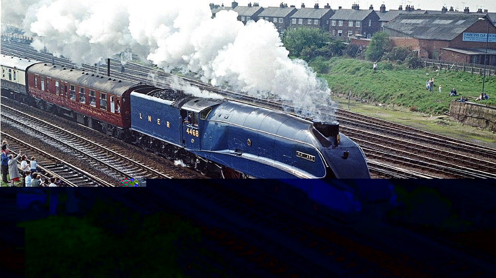 4468.jpg