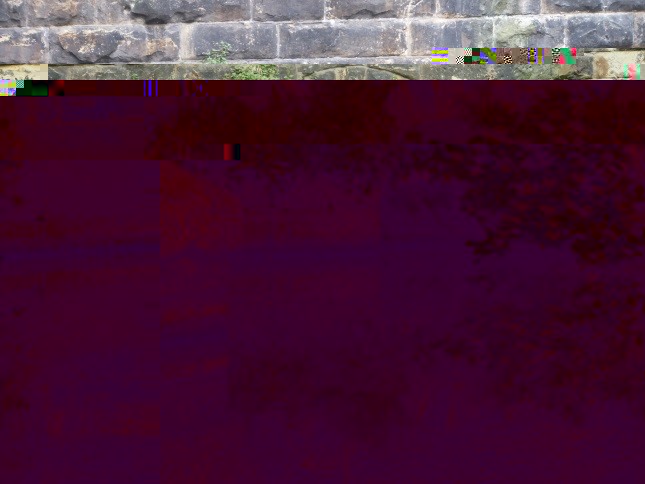 004R.jpg