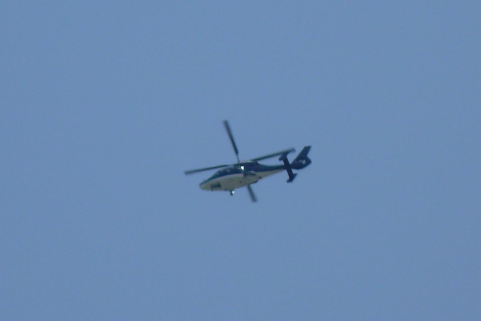 P1320695h.jpg