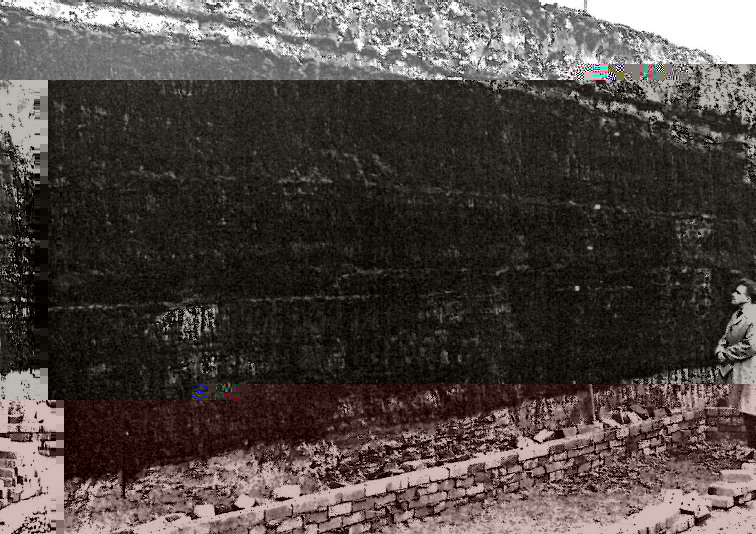 Beeston at Elland Road.jpg