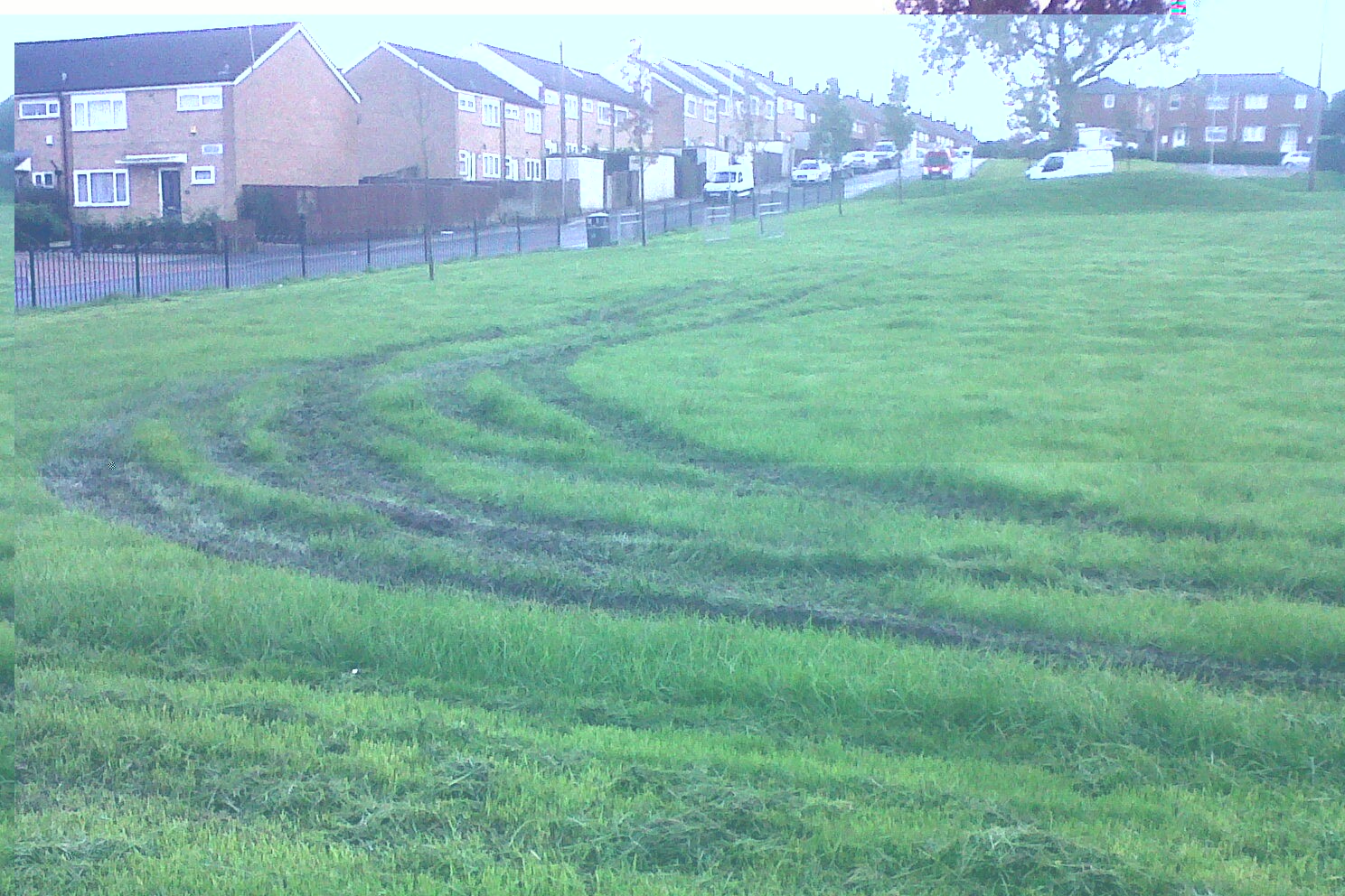 IMG-20131020-00391.jpg