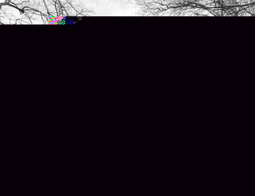 3095.jpg