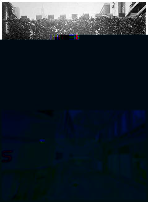 zqq.jpg