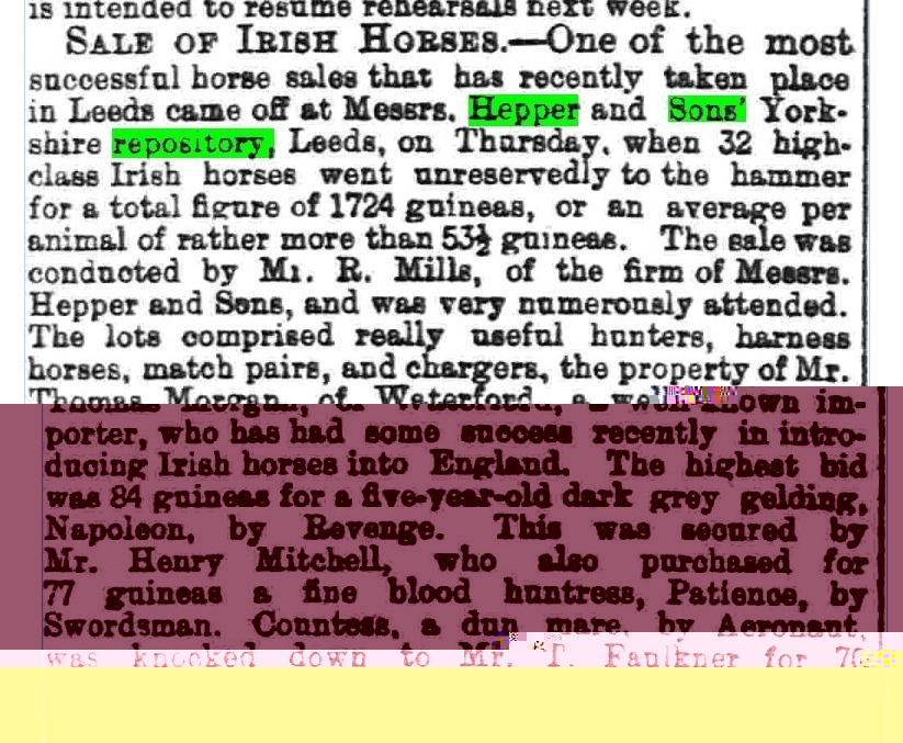 Hepper 1889.jpeg