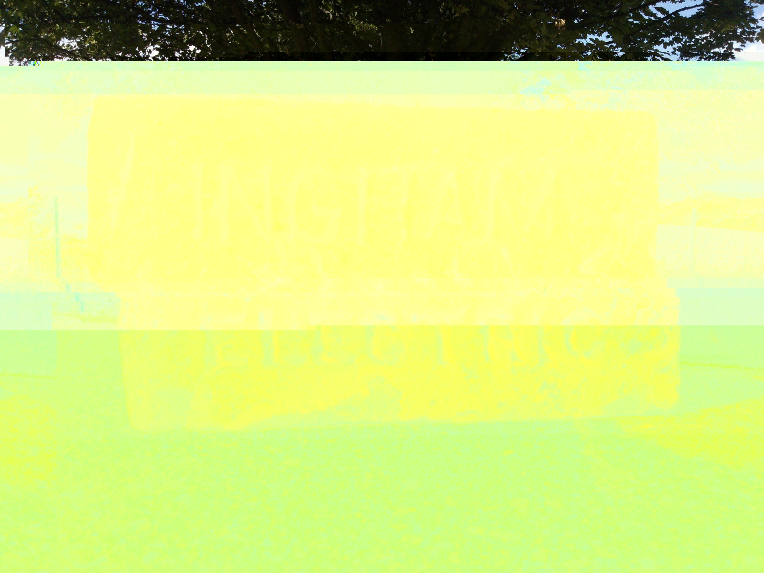 WP_000383.jpg