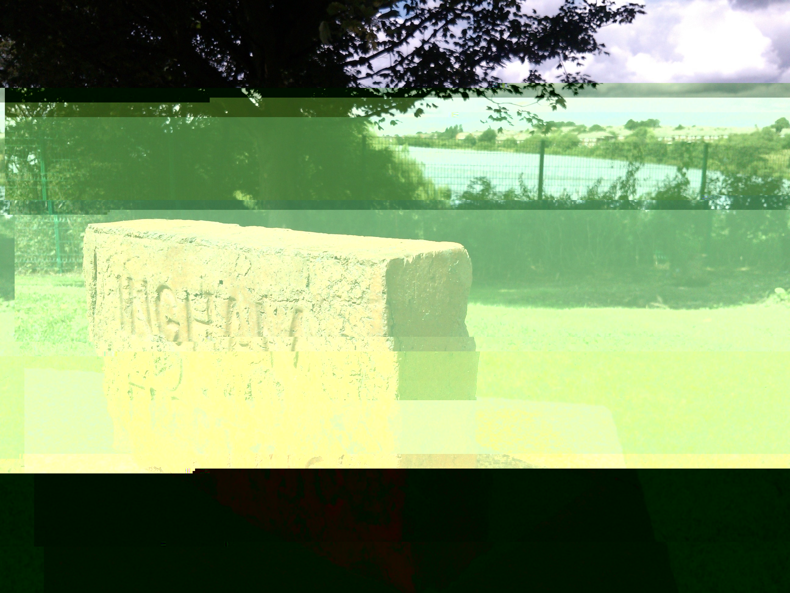 WP_000385.jpg