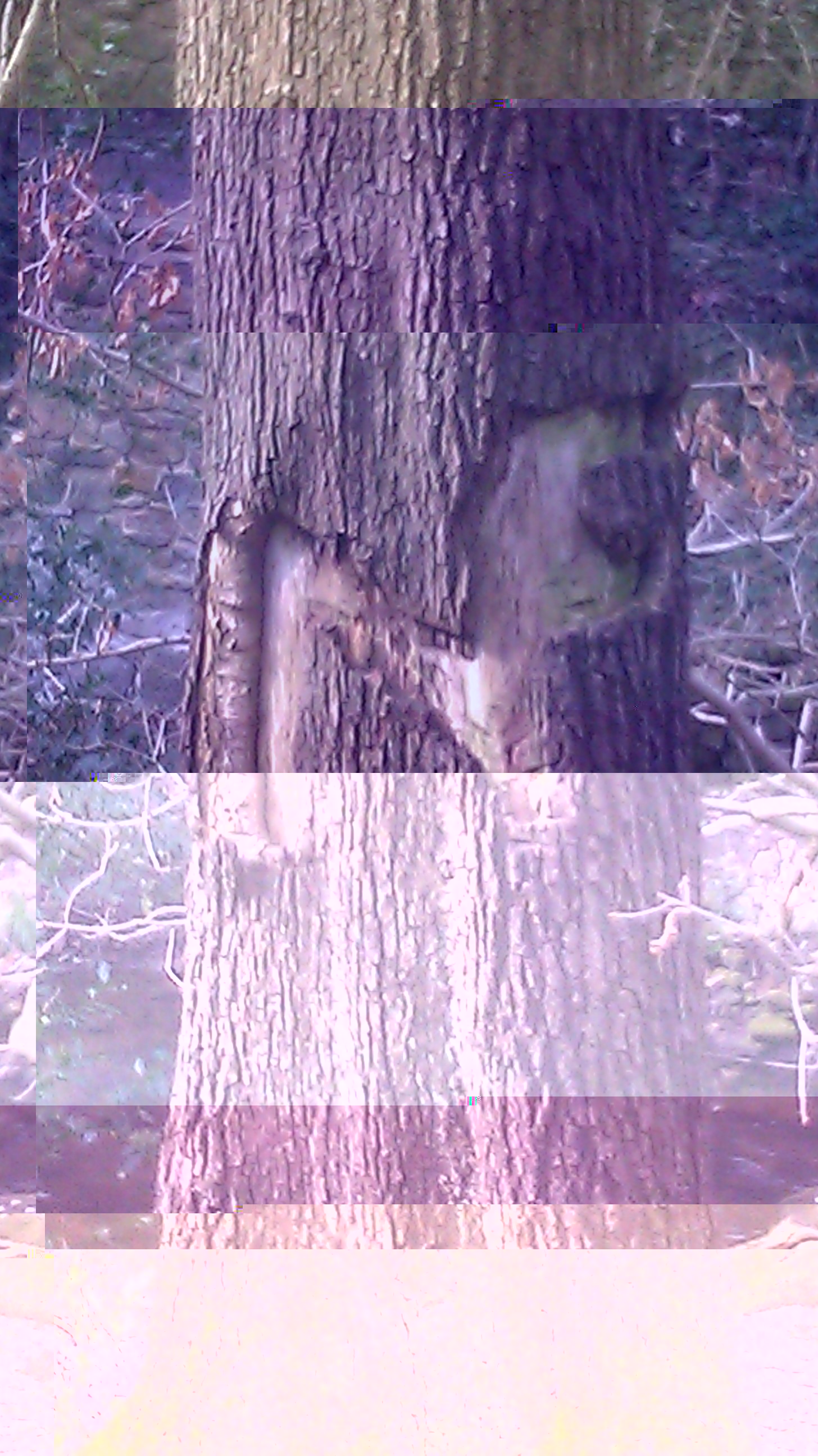 IMAG0680.jpg