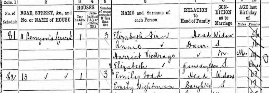 1891 census.JPG