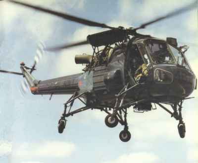 waspabove40.jpg