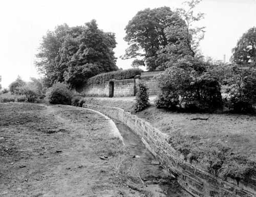 wyke beck 1951.jpg