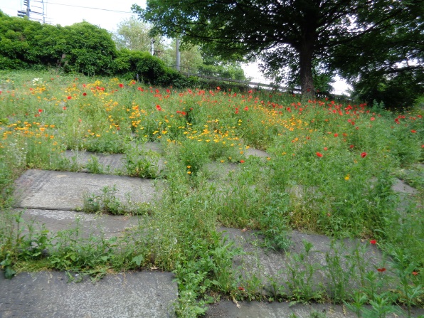 View taken June 25 2015 from Kirkgate showing some of the gravestones on the railway embankment.