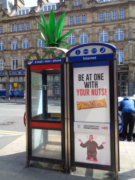 Telephone booth with plant (real or fake?) on Vicar Lane, opposite Leeds Market (taken June 9 2016).