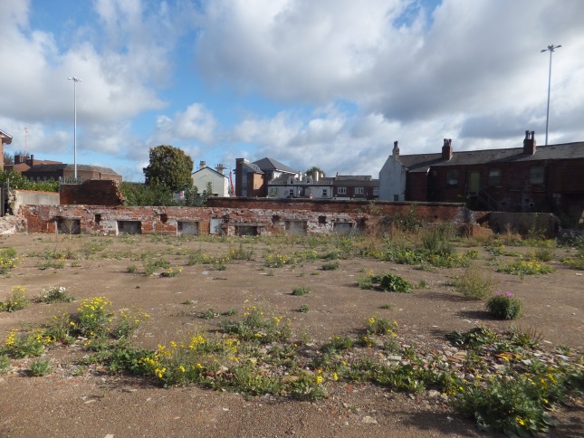 Oct072011.jpg