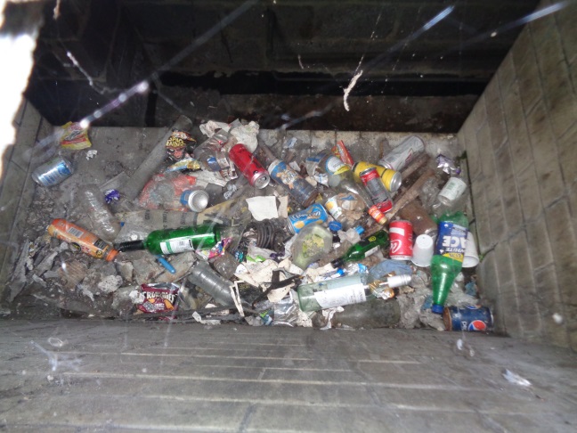 LitterBelowPavementTemplarPlaceSept202016.jpg